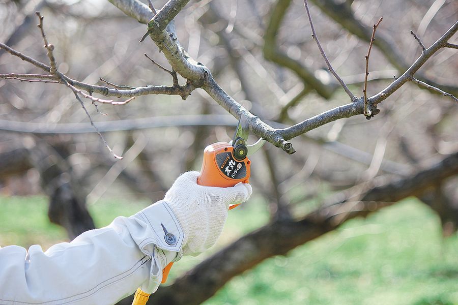 Futomaru Handy 35 Beskjæringssaks ø35 m/batteri/lader 28.8V