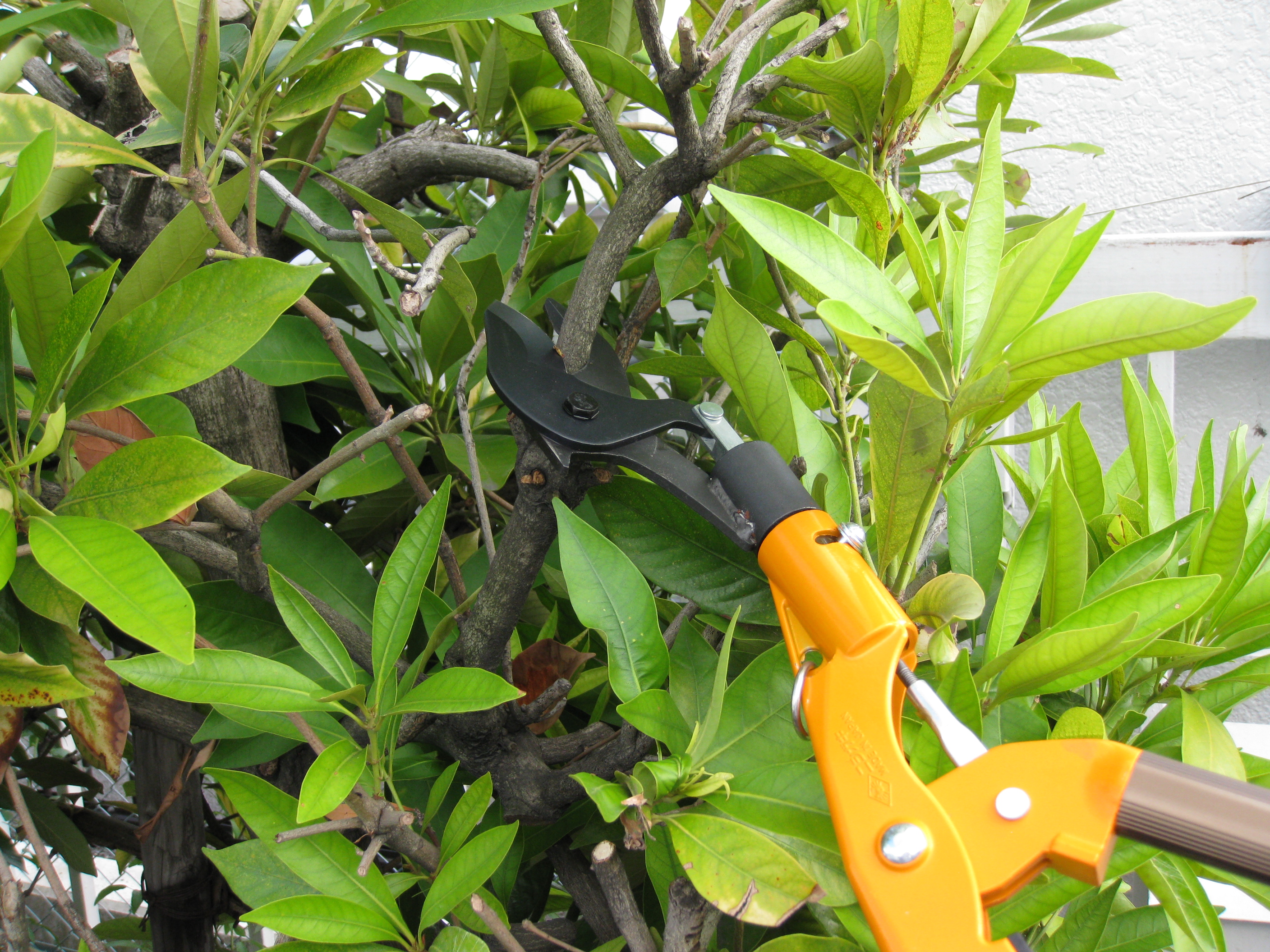 Futomaru Grensaks lang lopper 1,5m ø40mm N-154