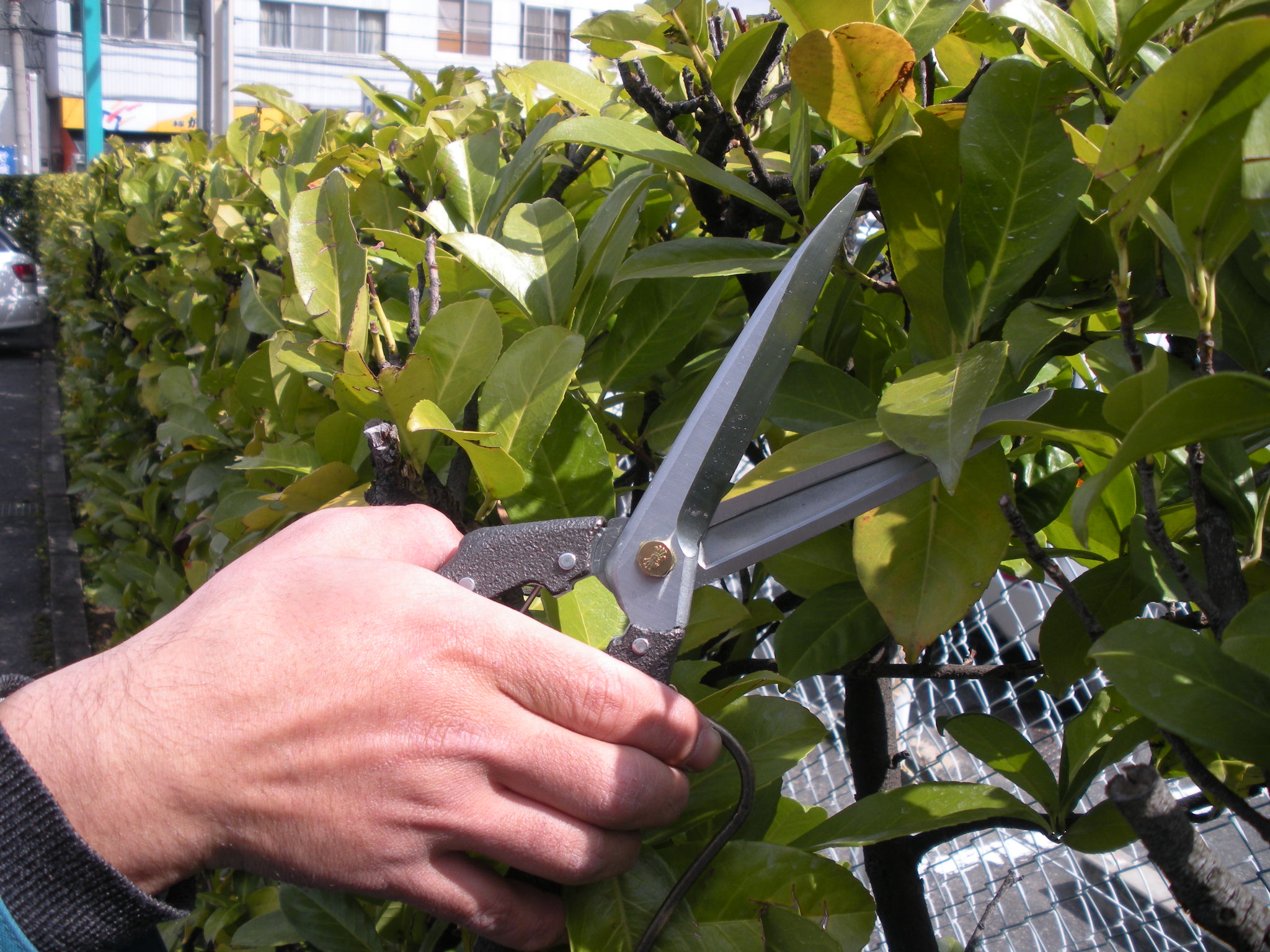 PRO200 Formingssaks rette blader 280mm N-207