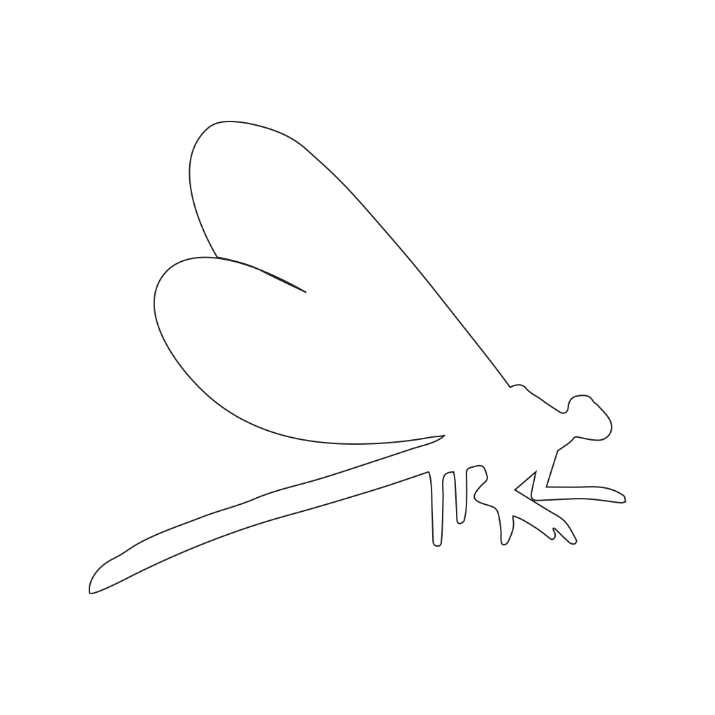 CC Sjablong Damselfly  2stk Nick Agar