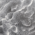 CC Acryl Cloud effekt maling 7 fargers sett