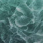 CC Acryl Cloud effekt maling 7 fargers sett