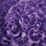 CC Acryl Cloud effekt maling 7 fargers sett