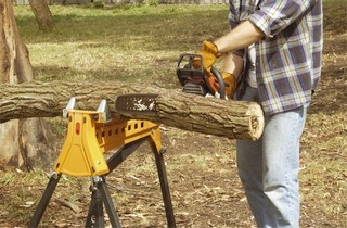 Triton gripekjeft trestamme