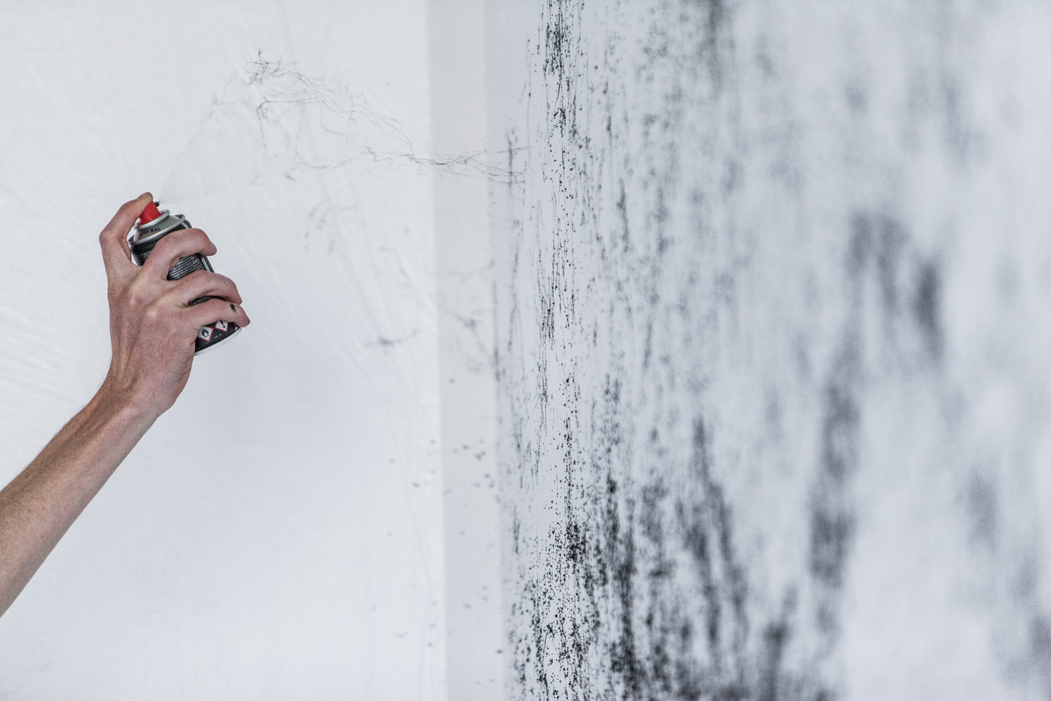 Montana black spider 150ml spray