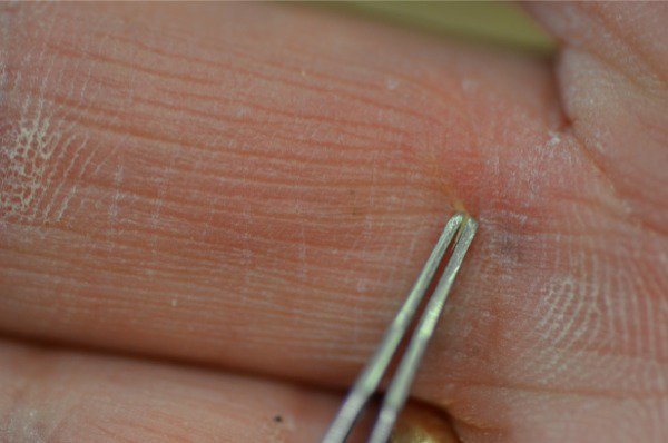 Flis pinsett sliver gripper m/ringfeste rustfri