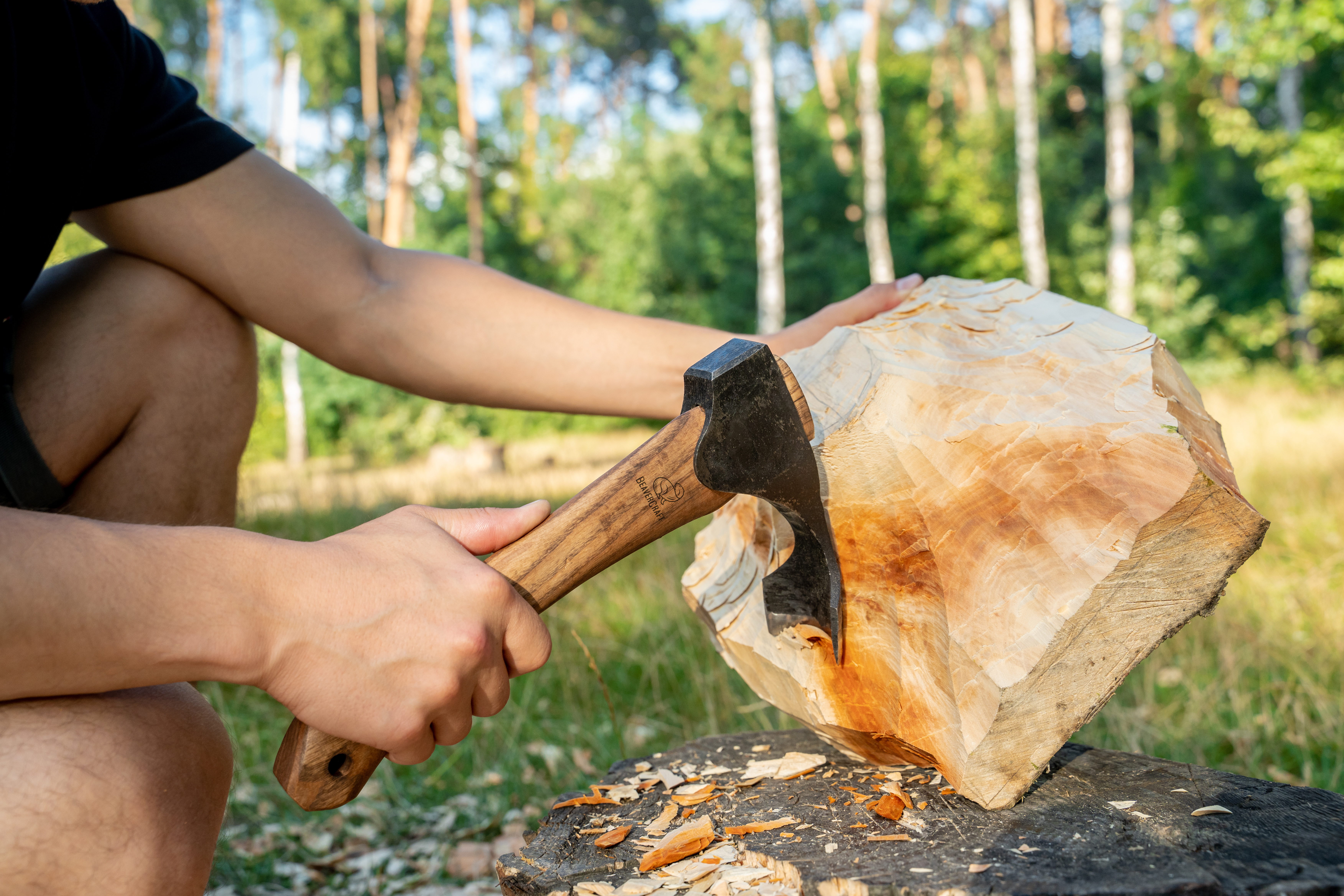 Beavercraft AX2 teksle for uthuling