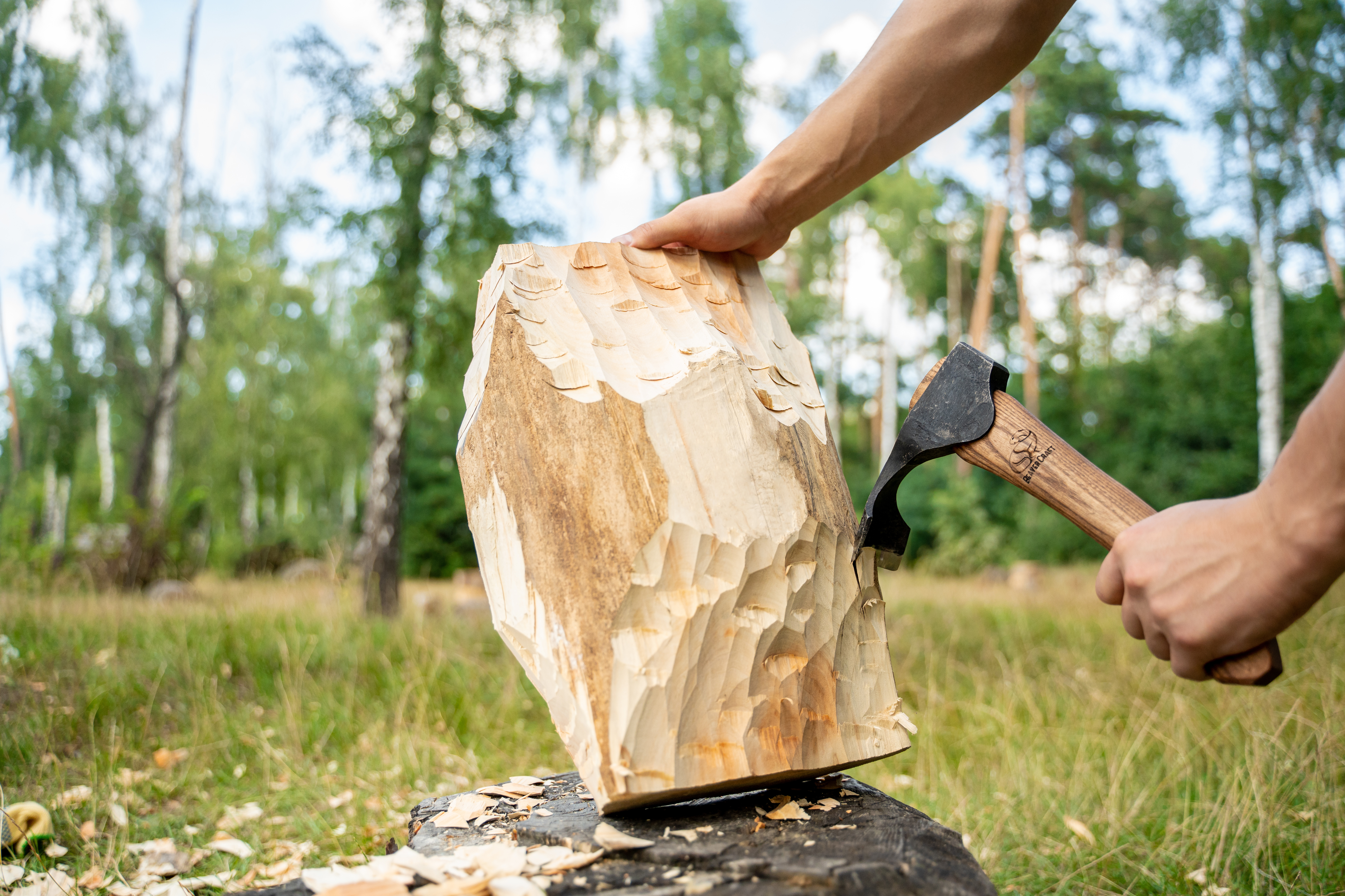 Beavercraft AX2 teksle for uthuling