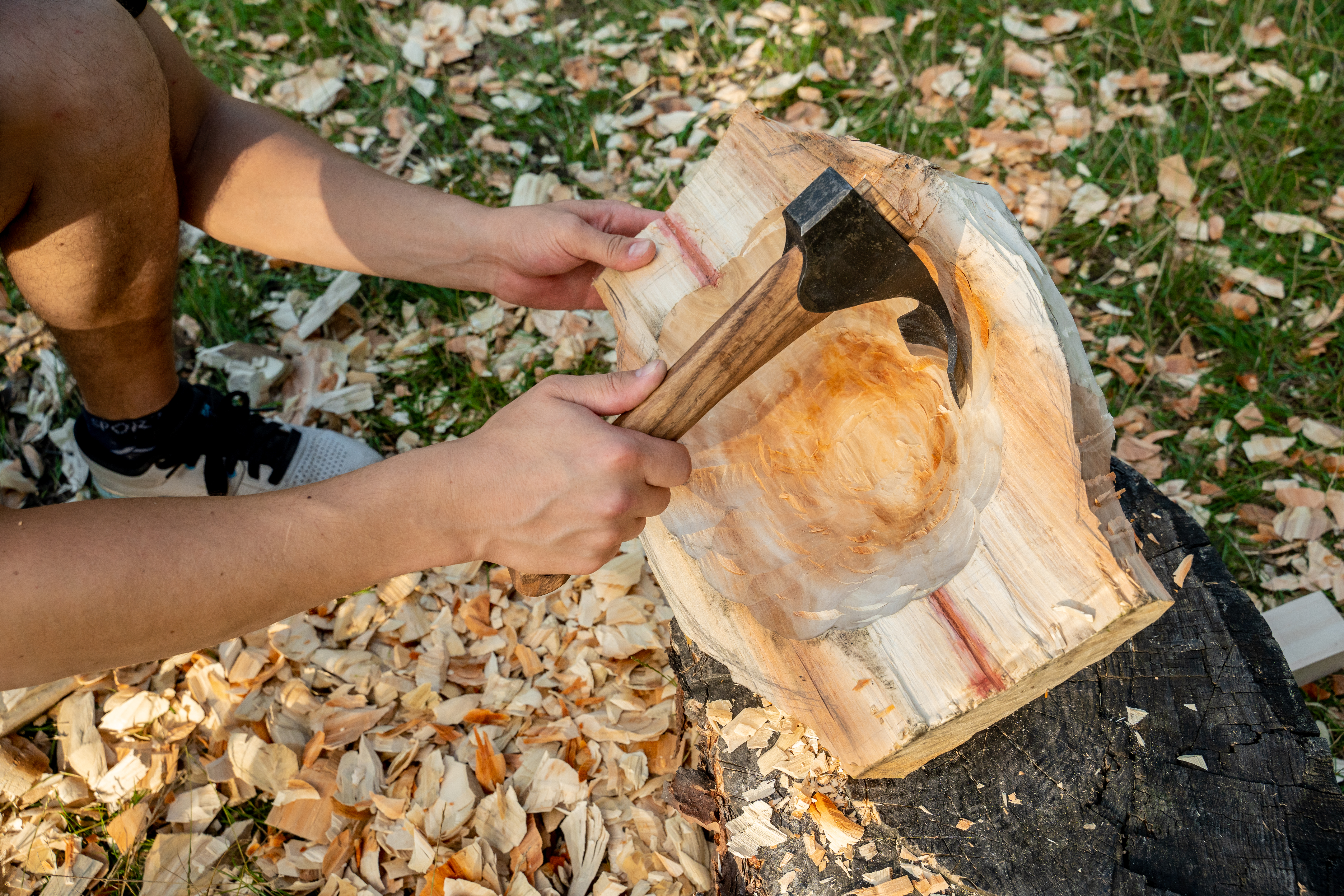 Beavercraft AX2 teksle for uthuling