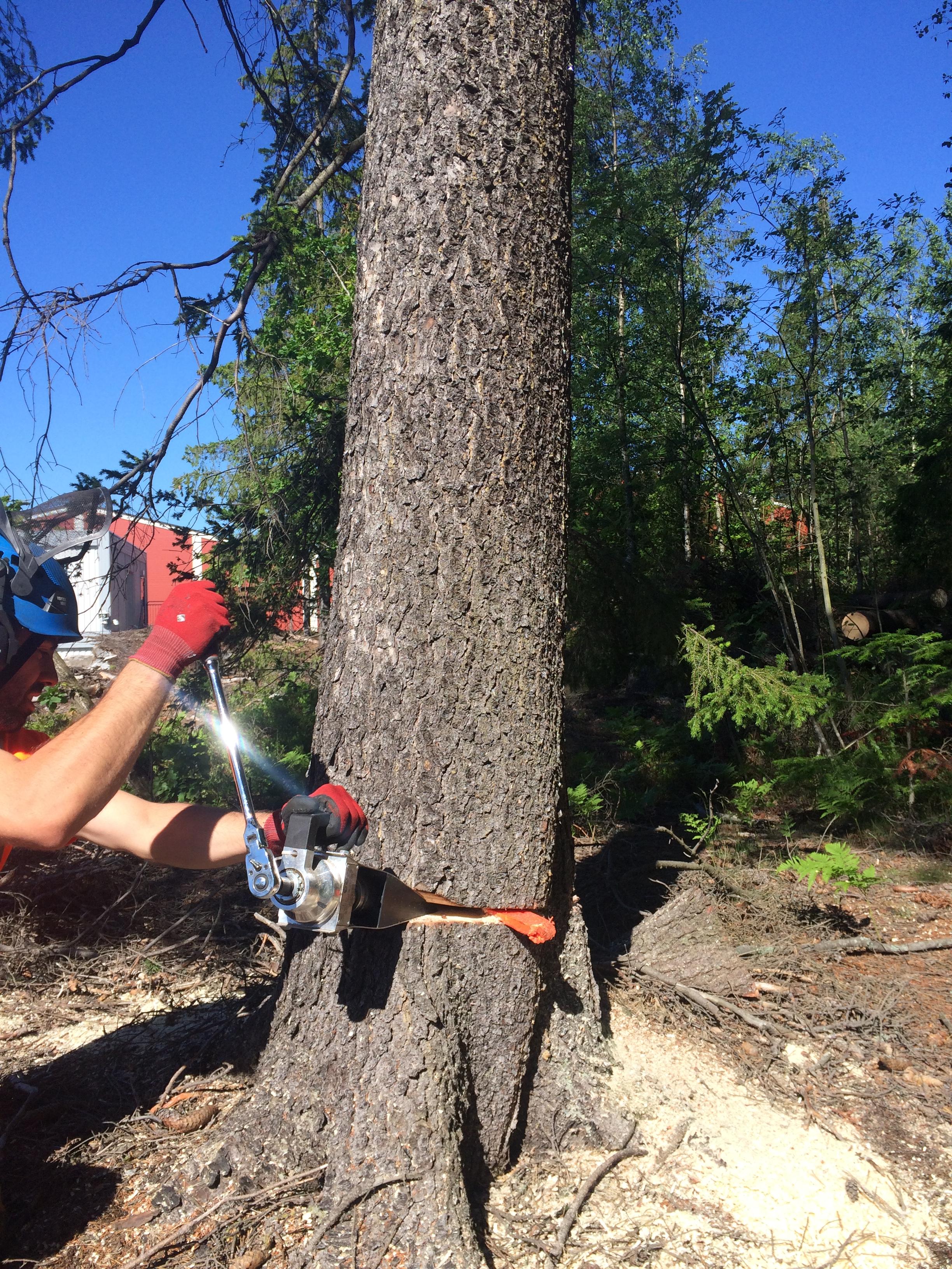 Eder Trefellingskile TITAN 80 PRO med skralle håndtak