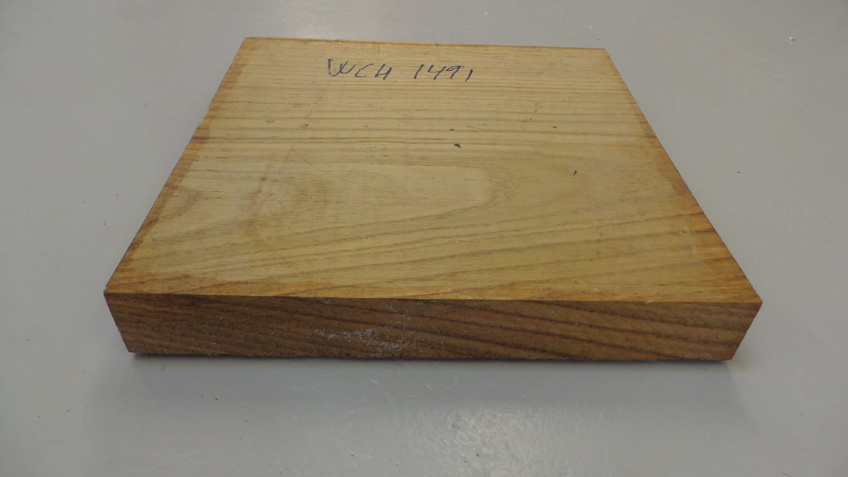 Chestnut emne ø 350x350x50