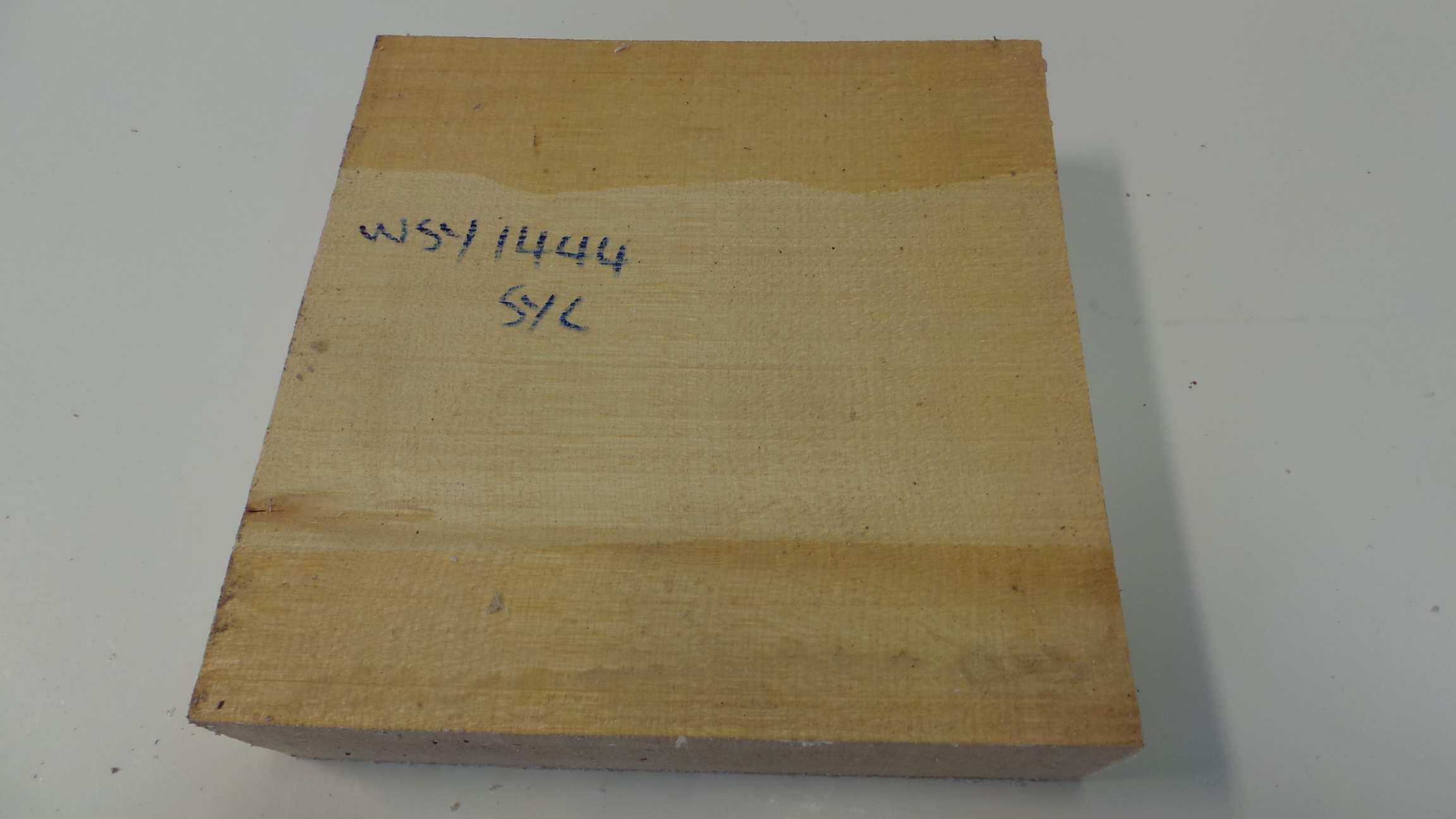 Sycamore emne ø 203 x 51mm